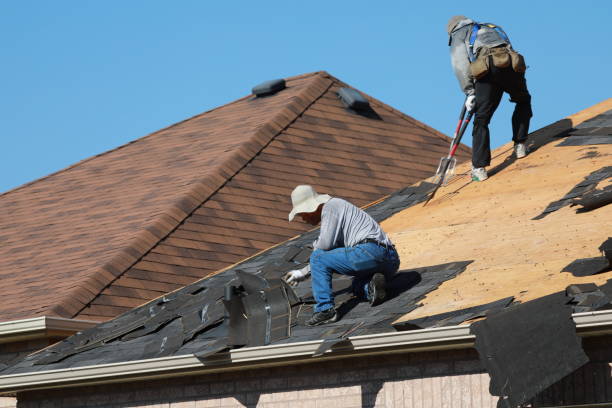 Best Gutter Installation and Repair  in Shenandoah Farms, VA