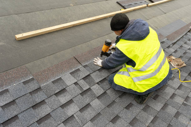 Best Roof Maintenance and Cleaning  in Shenandoah Farms, VA