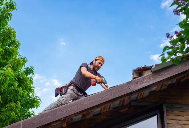 Best Cold Roofs  in Shenandoah Farms, VA