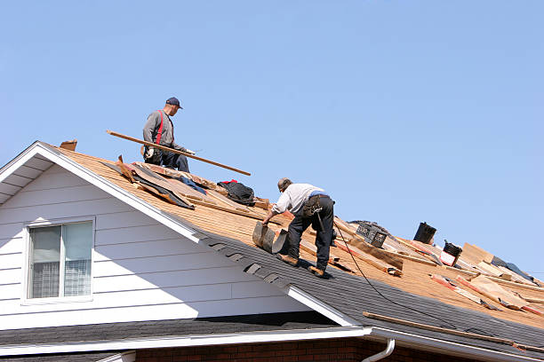 Best Green or Eco-Friendly Roofing Solutions  in Shenandoah Farms, VA